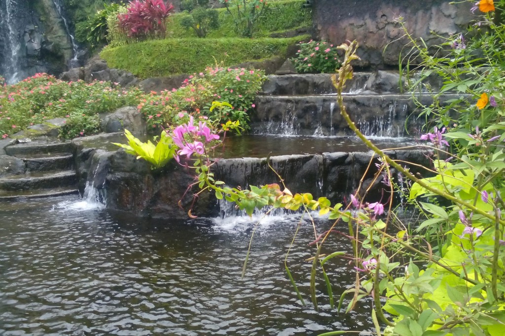 Garden waterfall
